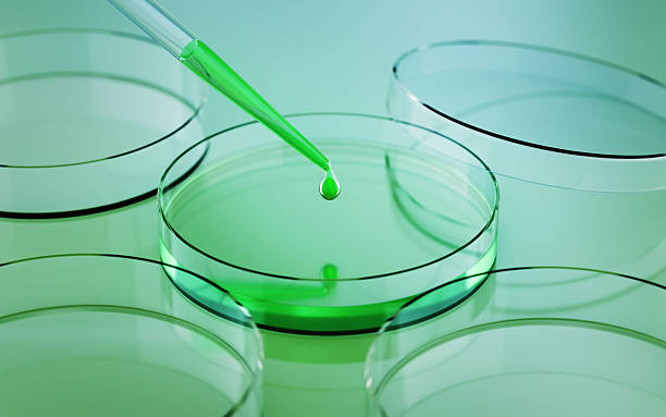 Qingyuan Biotechnology Co., Ltd. empowers the green development of starch sugar.