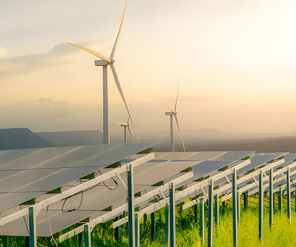 Qingyuan Foodstuff Co., Ltd