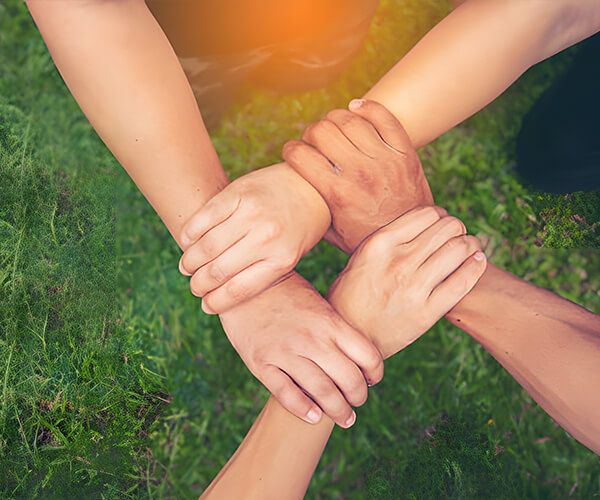 Qingyuan Foodstuff Co., Ltd