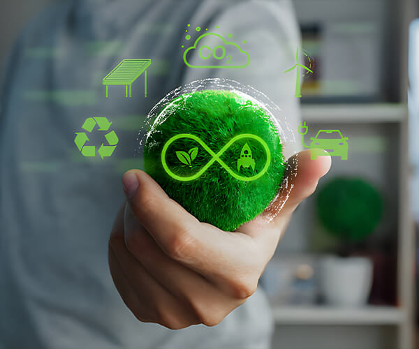 Qingyuan Foodstuff Co., Ltd